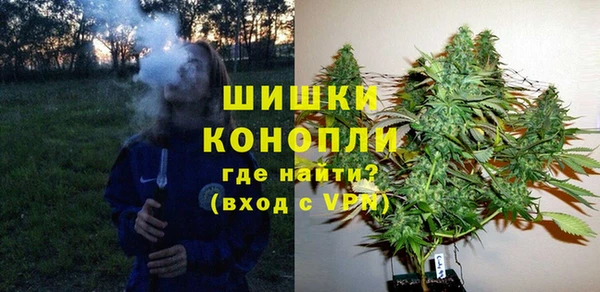 дмт Богданович