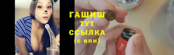 дмт Богданович