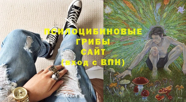дмт Богданович