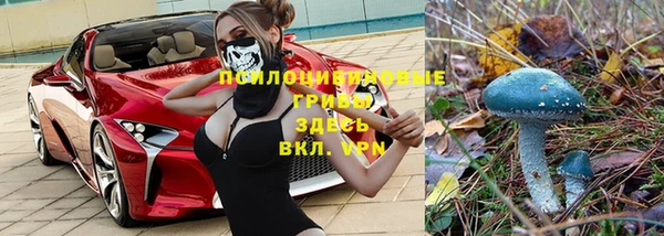 PSILOCYBIN Сатка