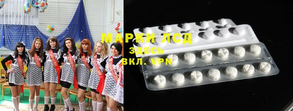 дмт Богданович