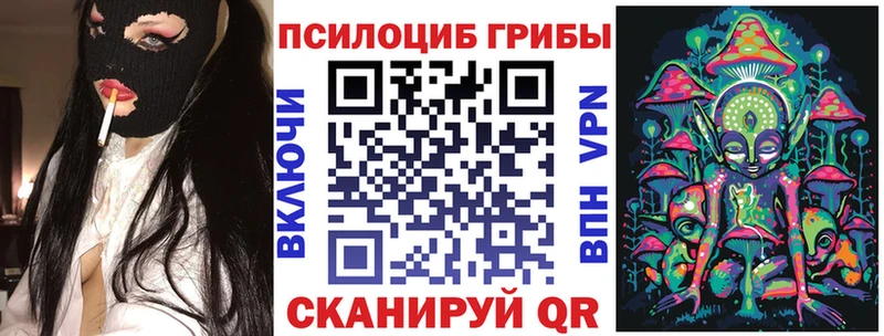 дарнет шоп Бирюсинск Галлюциногенные грибы MAGIC MUSHROOMS